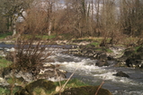 D7D00374 Rapids in river Wye by Builth Wells.jpg